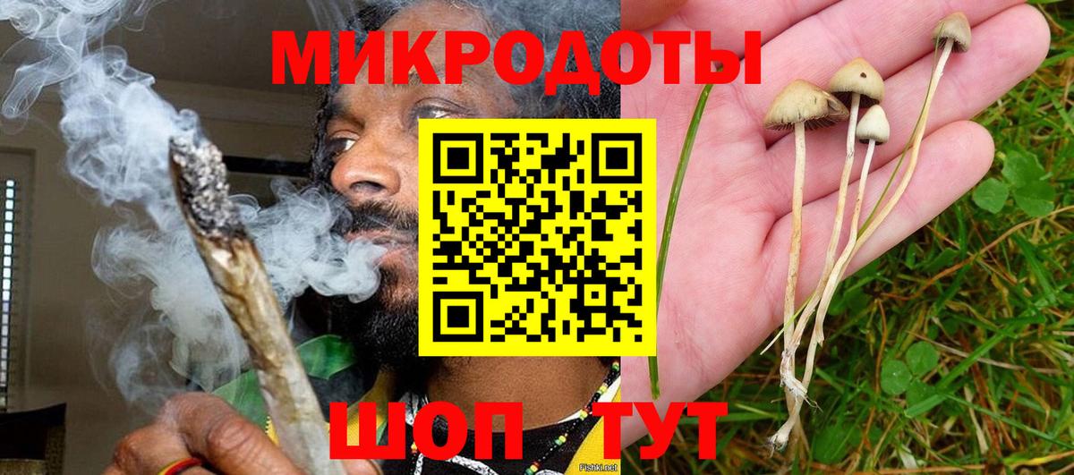Галлюциногенные грибы прущие грибы Нижний Новгород