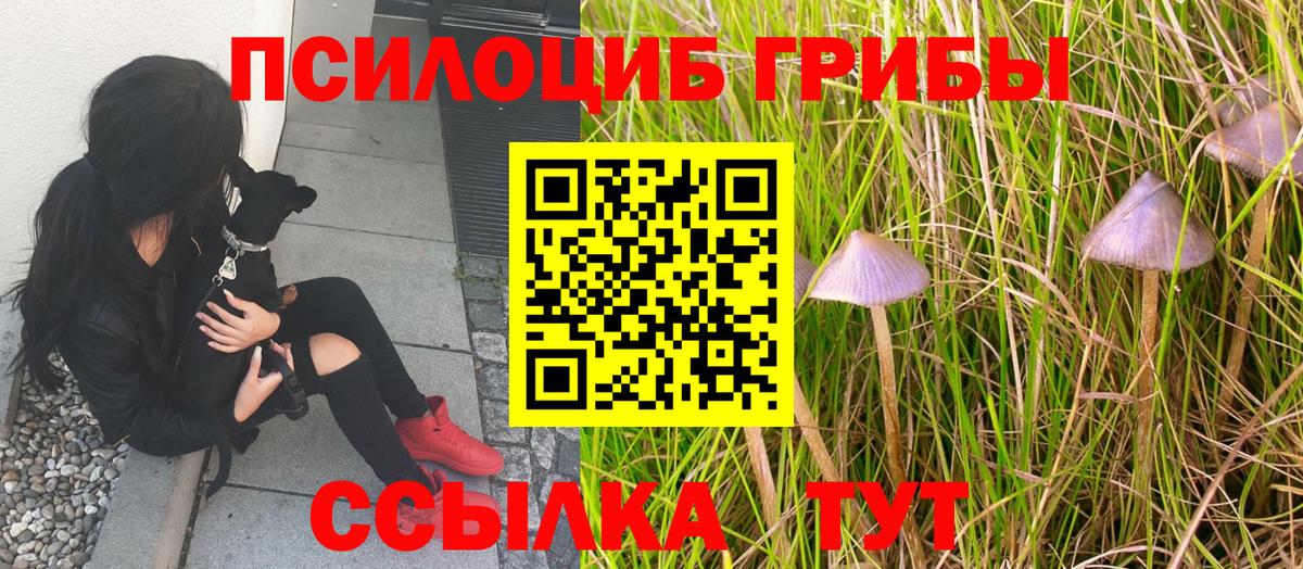 Галлюциногенные грибы ЛСД  магазин  наркотиков  Нижний Новгород  Вход с VPN 