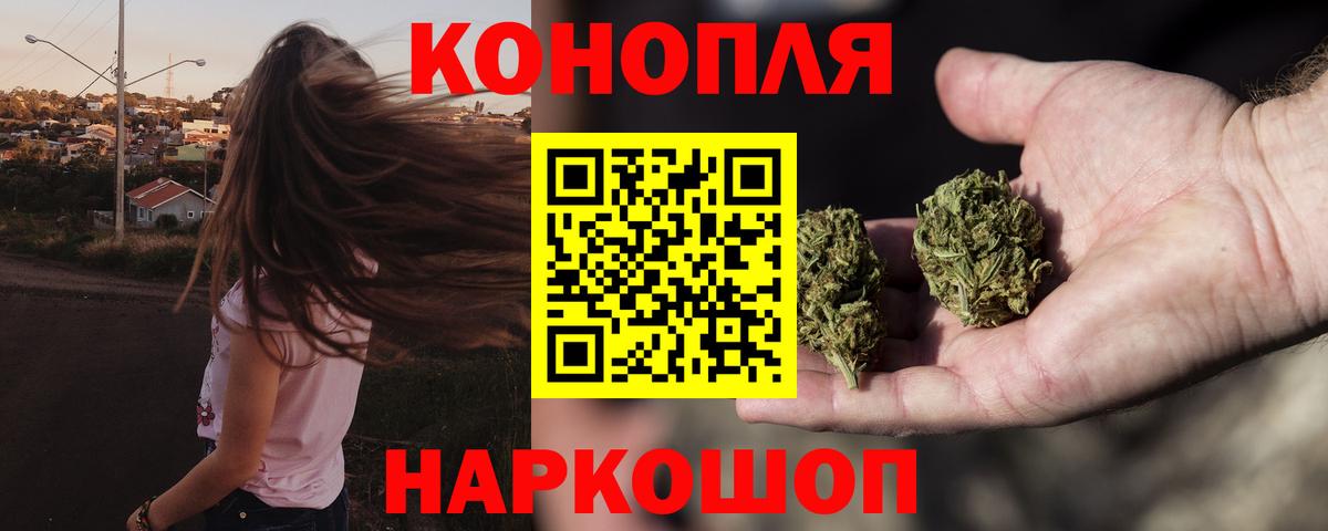 Бошки Шишки ГИДРОПОН Нижний Новгород